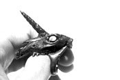 Image of Oxidized Bronze Unicorn Skull Ring