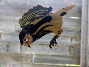 Image of JCR BIRDS : ELF OWL