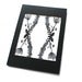 Image of Botanical Paper Cut Lace - Umbelliferae & Fern