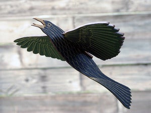 Image of JCR BIRDS : GRACKLE