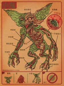 Image of Anatomy Of The Gremlin Print