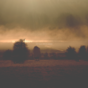 Image of Arctique Circles/Baran "Split" LP