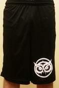 Image of owl short