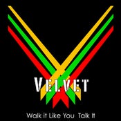 Image of Walk It Like You Talk It