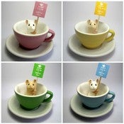 Image of Little Teacup Mouse 