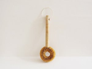 Image of Palm Brush with Long Handle