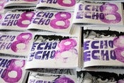Image of Echo! Echo! #8