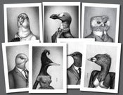 Image of Extinct Birds 7-Print Set | Prints