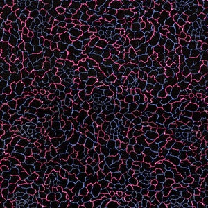 Image of Albert Jewel - Cracked Ice - Velvet