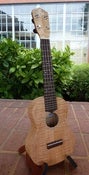 Image of LoPrinzi Solid Curly Maple Concert  