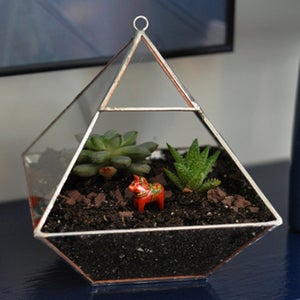 Image of Air Terrarium Kit, large