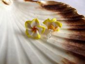Image of Yellow flower stud earrings