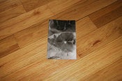 Image of _ Quarterly 03