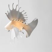 Image of lionfish