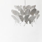 Image of butterfly 