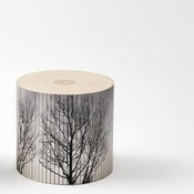 Image of Log