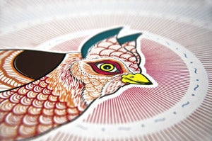 Image of David Cook's Bird