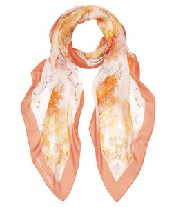Image of Sun Coral