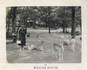 Image of PETTING ZOO PRINT