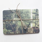 Image of COLORPACK POSTCARDS