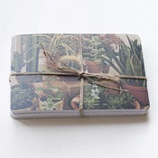 Image of MEZCLA POSTCARDS