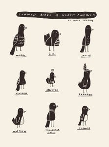 Image of COMMON BIRDS OF NORTH AMERICA print