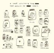 Image of A COLLECTION OF TINY OBJECTS IN LITTLE JARS print