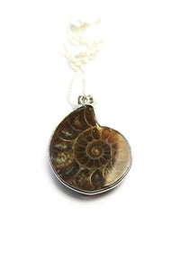 Image of AMMONITE Fossil Pendant