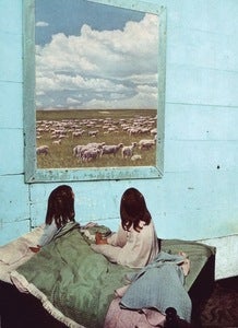 Image of COUNT SHEEP Limited Edition Print