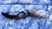 Image of Silver Fox Tail Chain