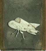 Image of ::Lorraine::
