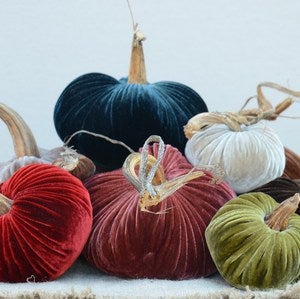 Image of Velvet Plush Pumpkin Big Ranch Set