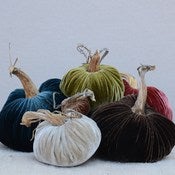 Image of Velvet Plush Pumpkin Ranch Large Set