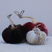 Image of Velvet Plush Pumpkin Saddle Trio
