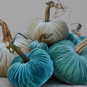 Image of Velvet Plush Pumpkin Turquoise Large Set