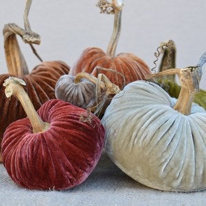 Image of Velvet Plush Pumpkin LoveFeast Large Set