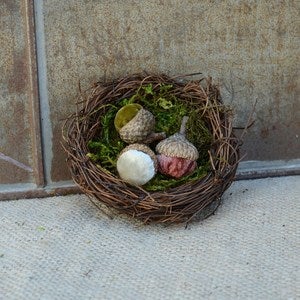 Image of Velvet Plush Acorn Tiny Nest