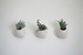 Image of FLOWERPOT
