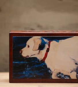Image of 'Shore Runner' Desk Caddy