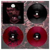 Image of DK028: Foxes / Iselia - Split 12" LP - Cherry Cola w/ Splatter /150, Cherry Cola /200