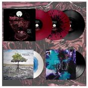 Image of DK028: Foxes / Iselia - Split 12" LP - Package Deals - Every Possible Combination