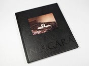 Image of Niagara - Alec Soth