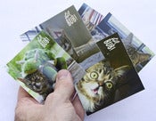 Image of Lil Bub Sticker Set