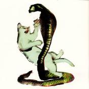 Image of FKR001 - Les Savy Fav - The Cat and the Cobra CD