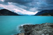 Image of Blue Mind