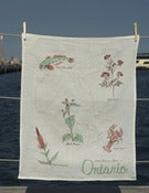 Image of Edible Invasive Species Of Ontario Teatowel