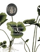 Image of A PIECE OF INFORMATION ABOUT HIS INVISIBILITY | Laressa Dickey