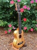 Image of Honolele Solid Mango Long Neck Soprano