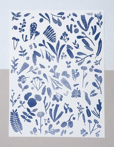 Image of discovery print 4