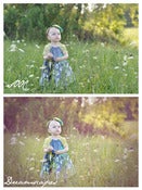 Image of CS Dreamscapes Photoshop Matte Collection